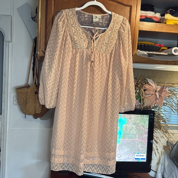 Anthropologie One September Elegant Pink Lace-Trimmed Dress SIZE L - Picture 11 of 13